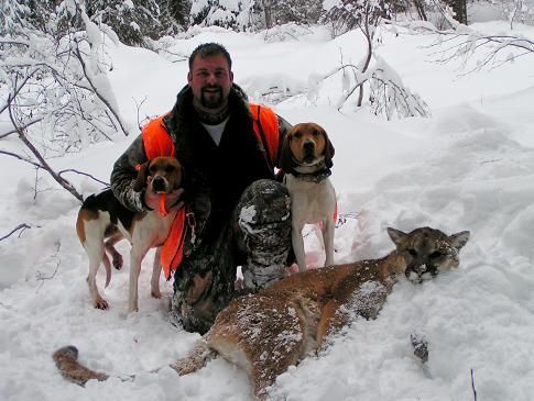 Hunting Cats