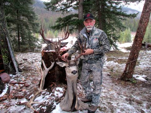 Hunting Deer