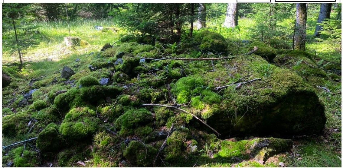 Her ser vi en registrering av Svein Holo. Om det bare er en steinrøys, en hustuft eller en gravrøys skal du ha erfaring for å avgjøre.