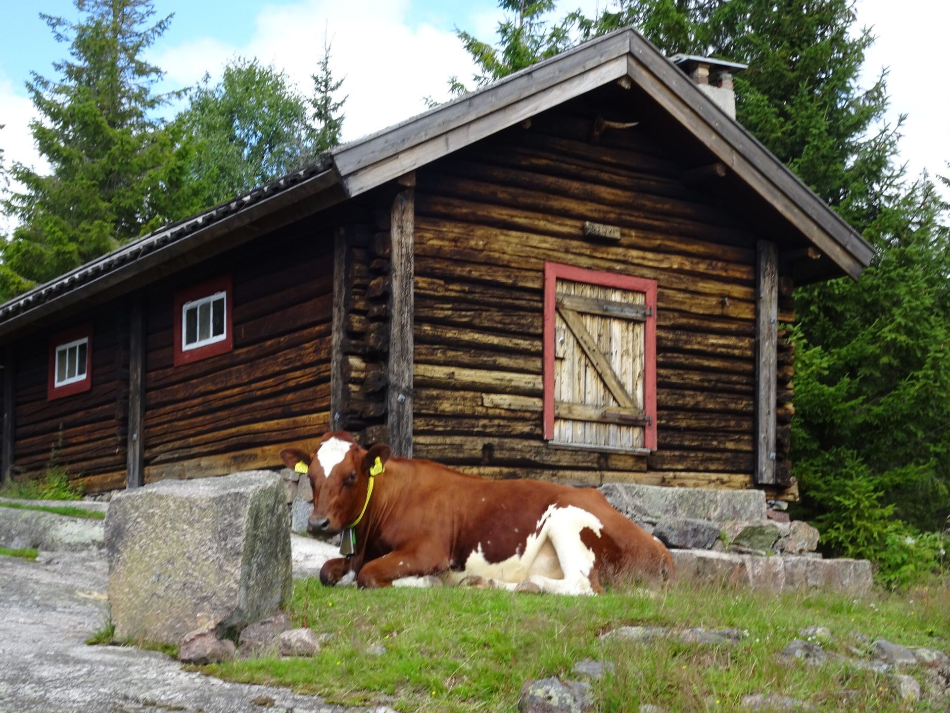 Ståvivollen