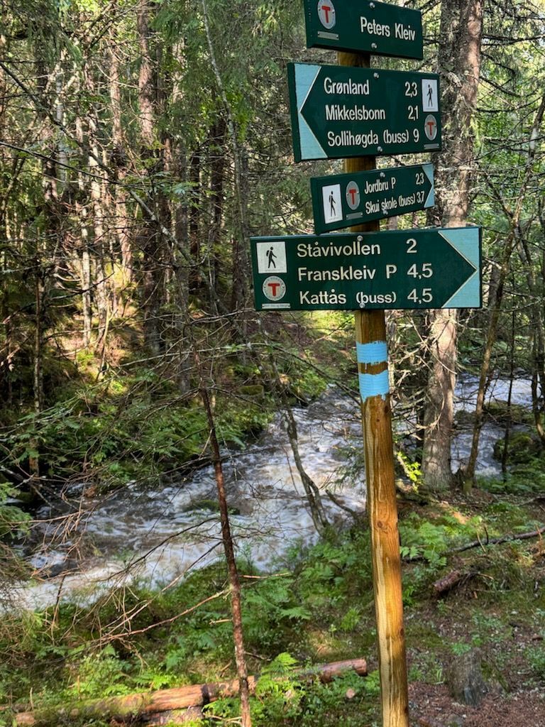 Stien opp til Risfjellkastet (Foto: Vidar Ekstrøm)