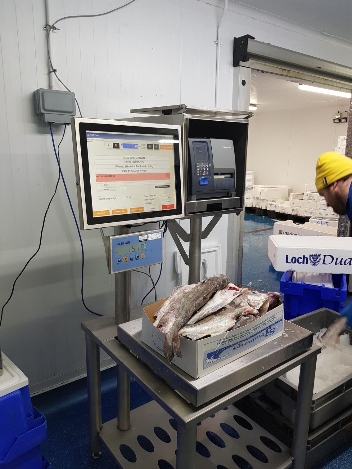 A man in a yellow hat is working in a fish factory. Aquarius ng improving efficiency Seafood Systems ACSS UK
