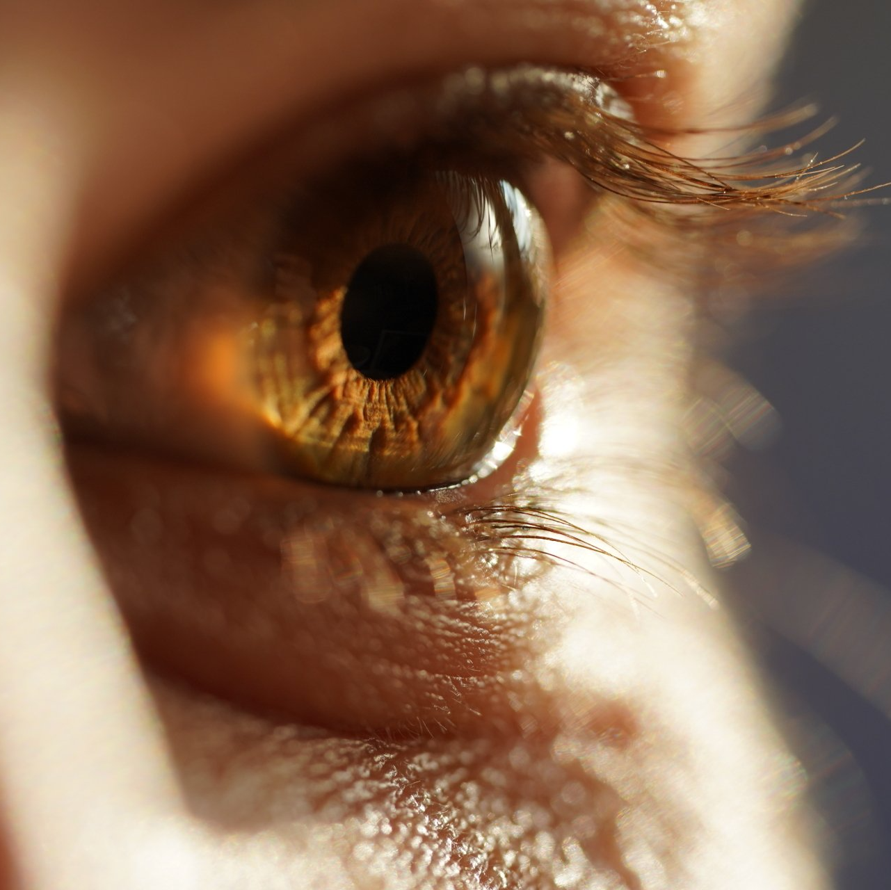 A close up of a person 's brown eye with long eyelashes.