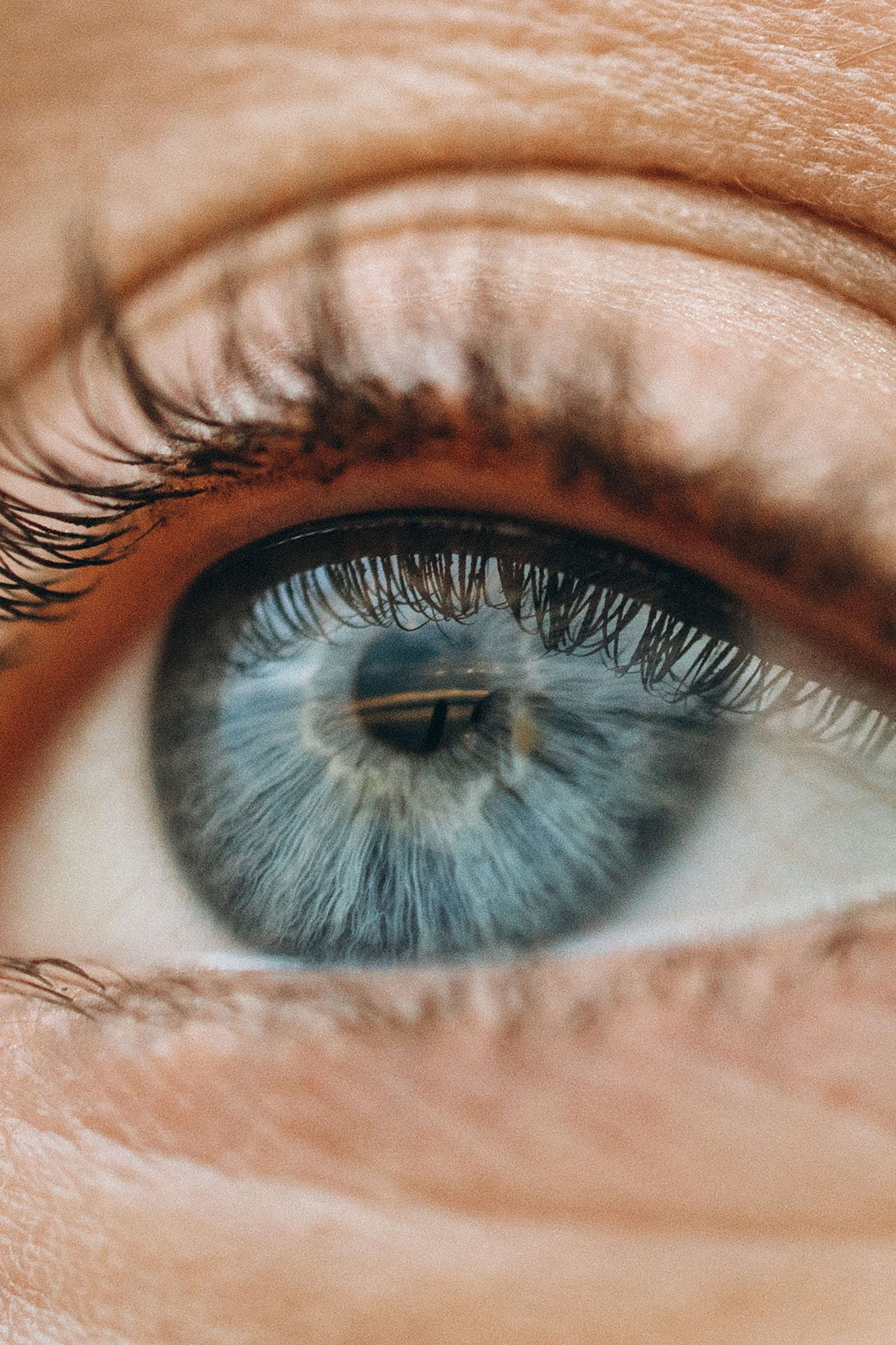 Close-up of a blue eye with long eyelashes and eyebrow.