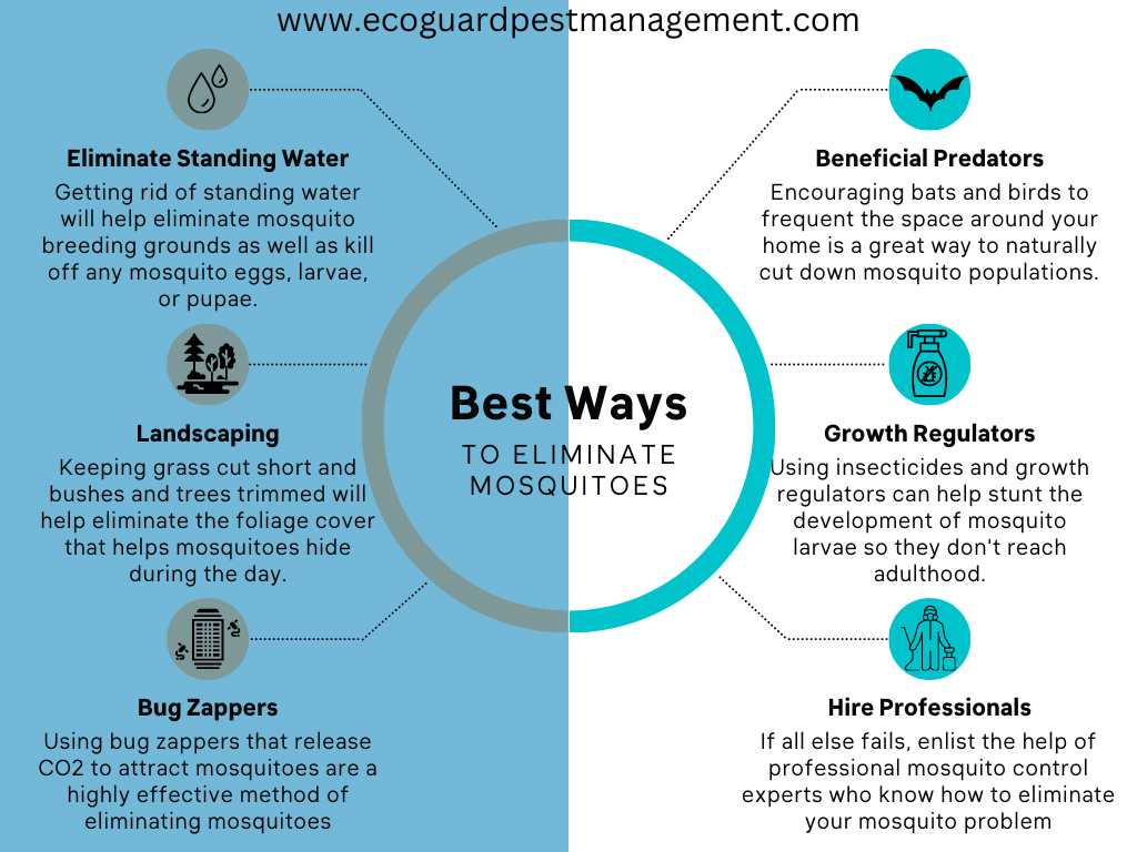 diagram that shows the different ways to kill mosquitoes.