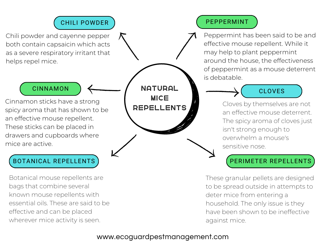 Mind map of 6 different natural mice repellents and how effective they are.