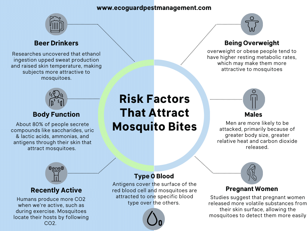 diagram identifying the risk factors that attract mosquitos