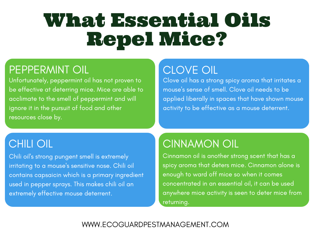 Table that explores 4 essential oils that potentially repel mice and how effective they are as a mouse deterrent.