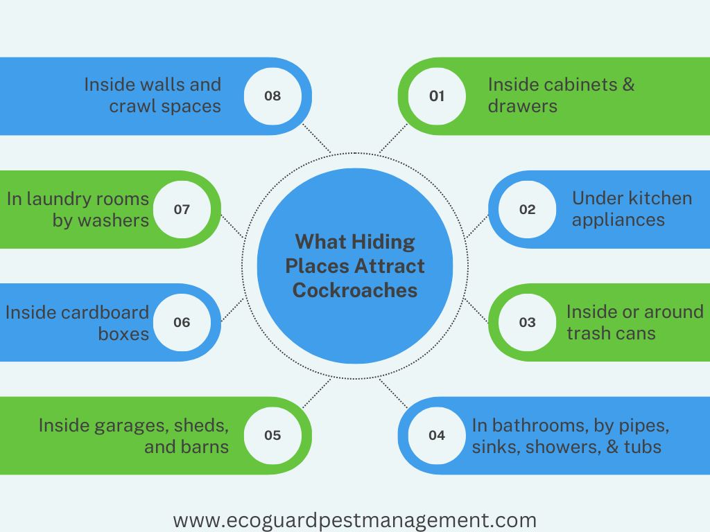 diagram that shows what hiding place attract cockroaches