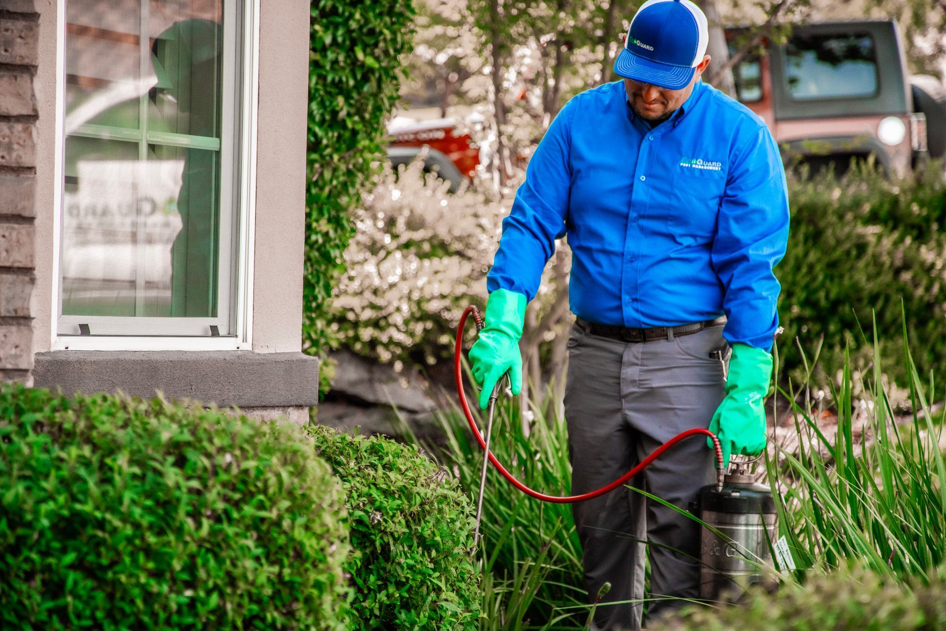 image of insecticides sprayed around house