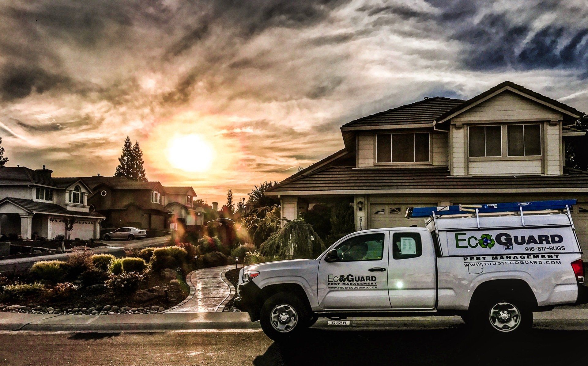 how to prepare for pest control