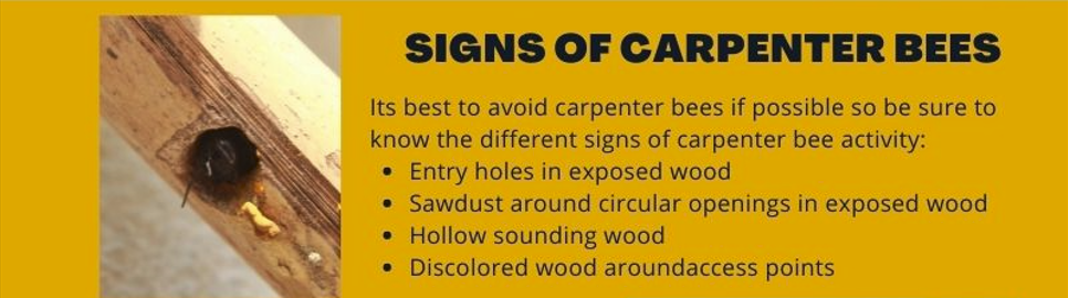 Pay attention for these signs of carpenter bees. Pay attention for these signs of carpenter bees.