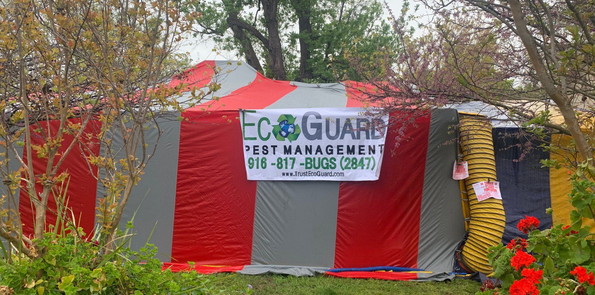 fumigation cost