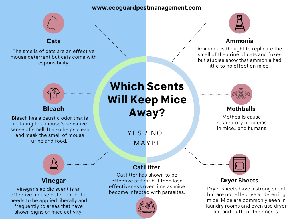 Diagram that explores which scents repel mice and which smells do not.