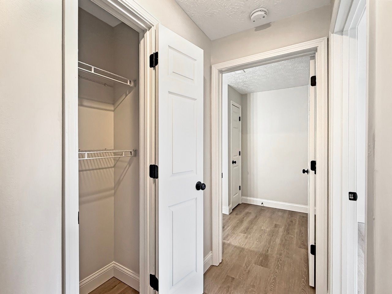 Open closet in a bright hallway with white doors and light wood floors.