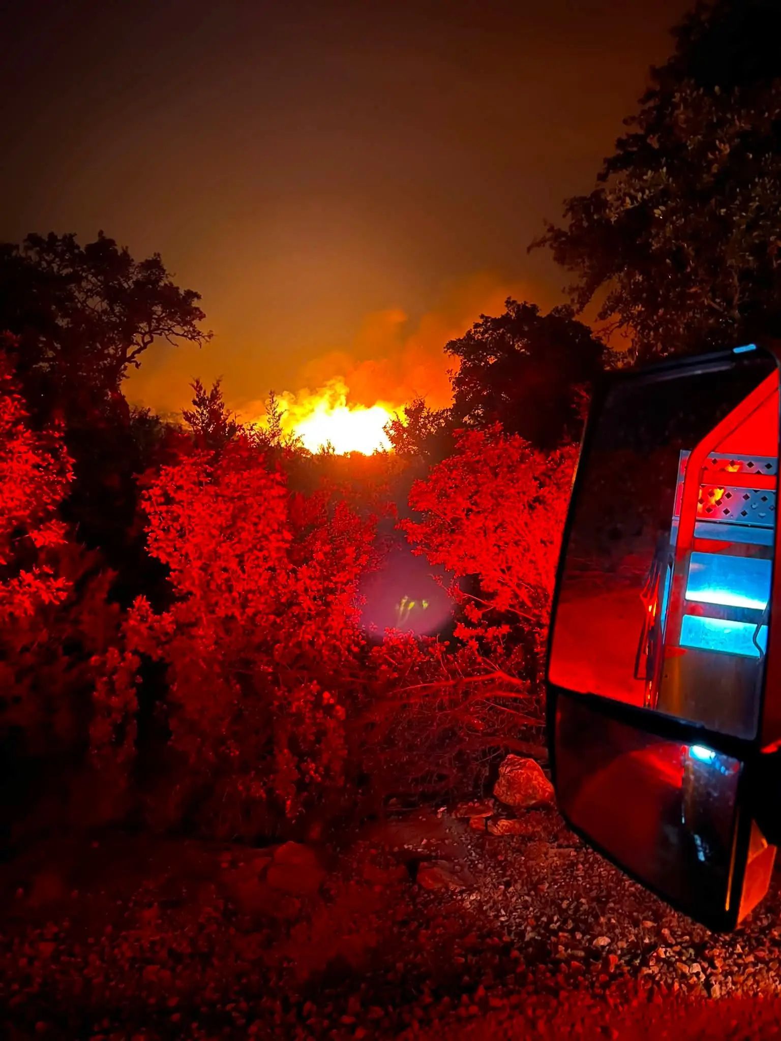 Nighttime wildfire with bright orange flames behind trees, seen beside a vehicle reflecting red and blue light