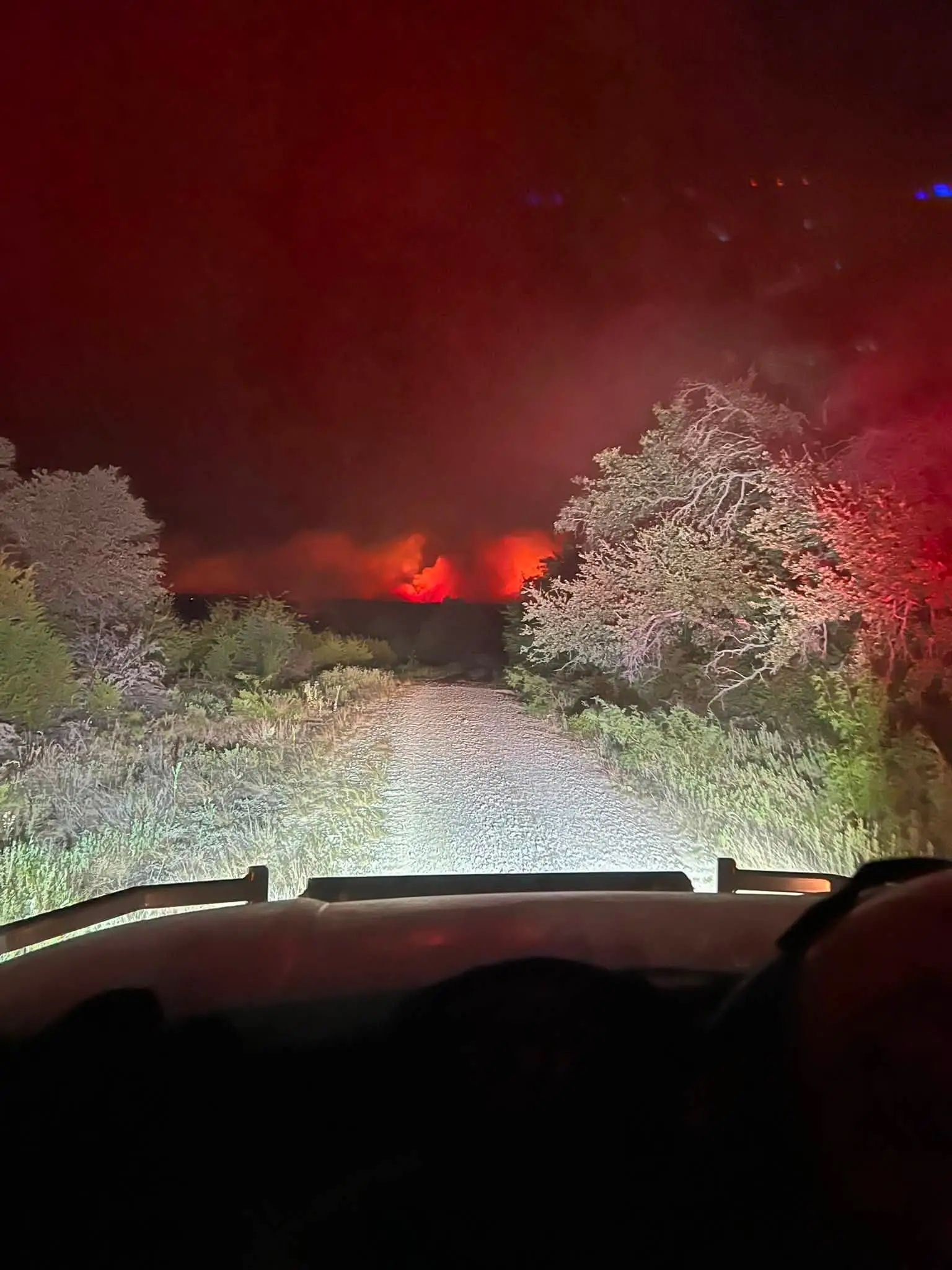 Nighttime view from a vehicle of a red wildfire glow over trees and smoke-filled sky.