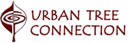 Urban Tree Connection logo with maroon tree icon and text on white background