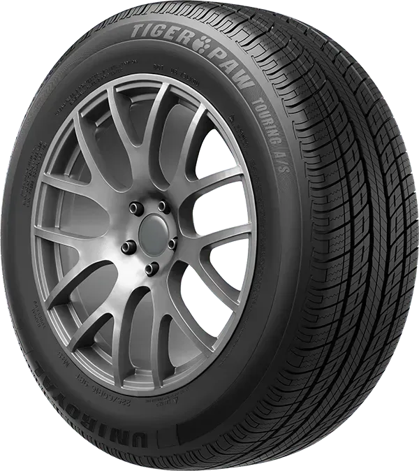 Gray alloy wheel and black tire on a white background