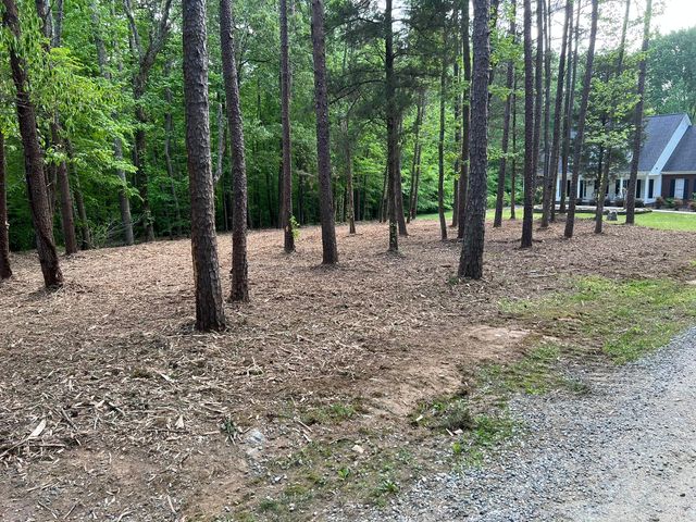 Forest Near Home — Archdale, NC — SDJ Land Management, Inc.