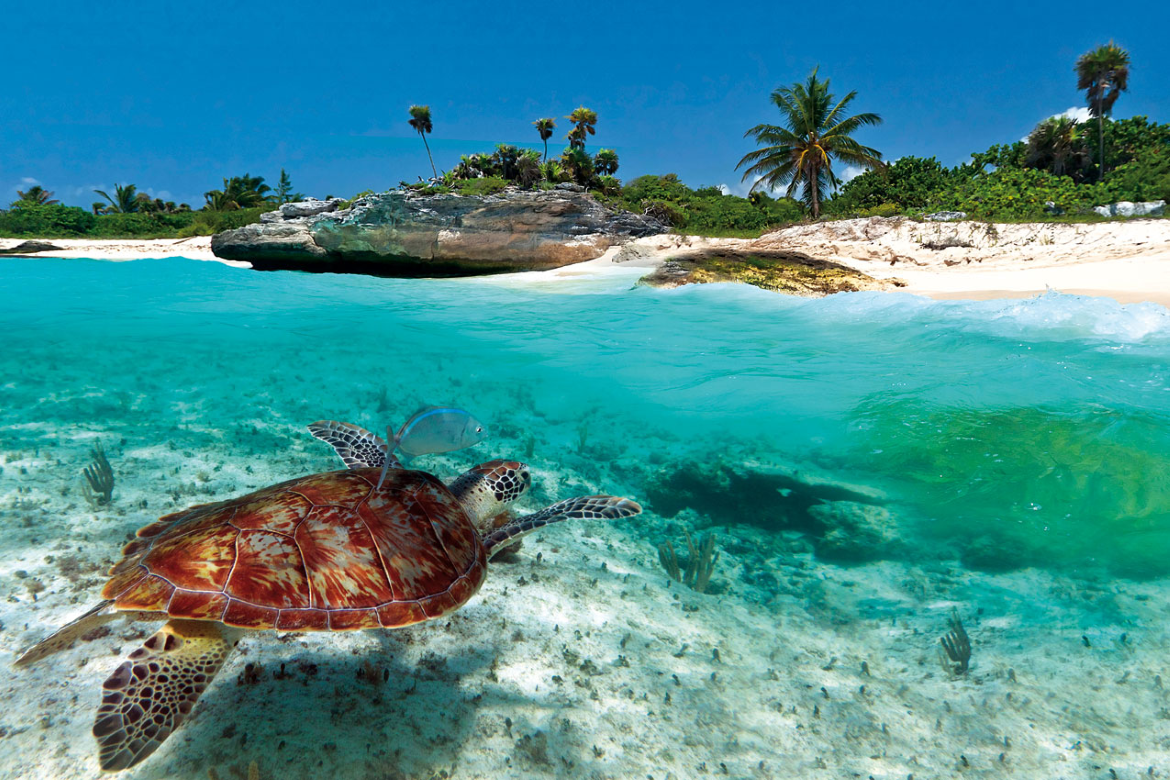 Grand Turk