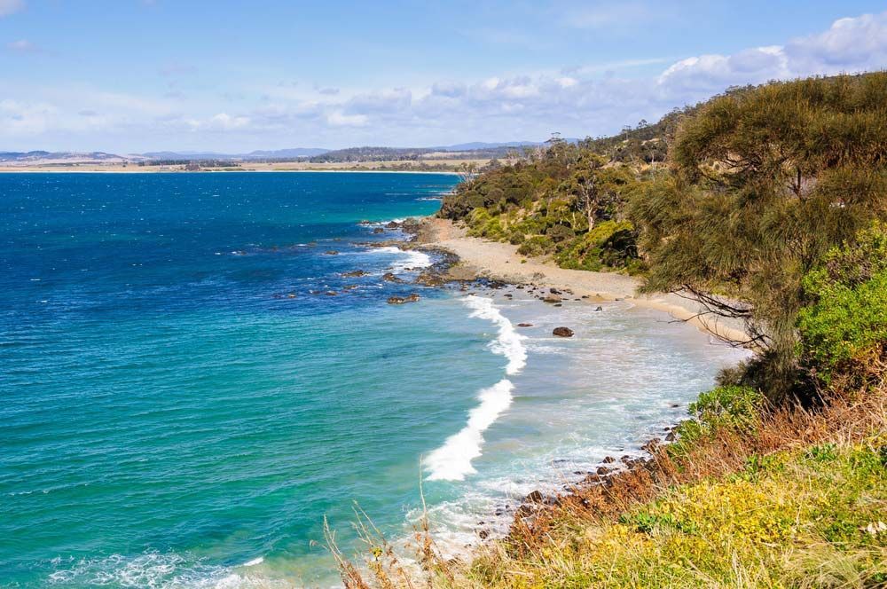 A View Of A Beach From A Cliff Overlooking The Ocean — Tim's Towing and Transport In Mayfield, NSW