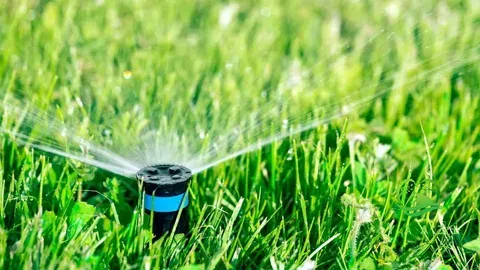 Eco-friendly Irrigation Techniques to maintain your Landscape
