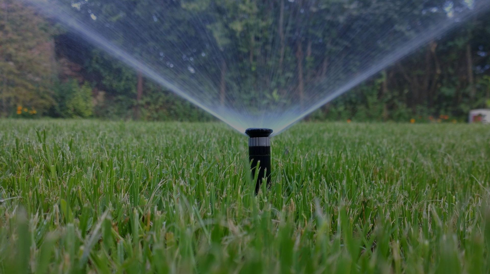 Best Irrigation Repair Ideas for Every Landscape
