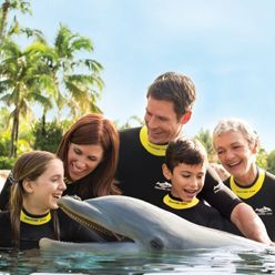 Royal Caribbean Cruise Line