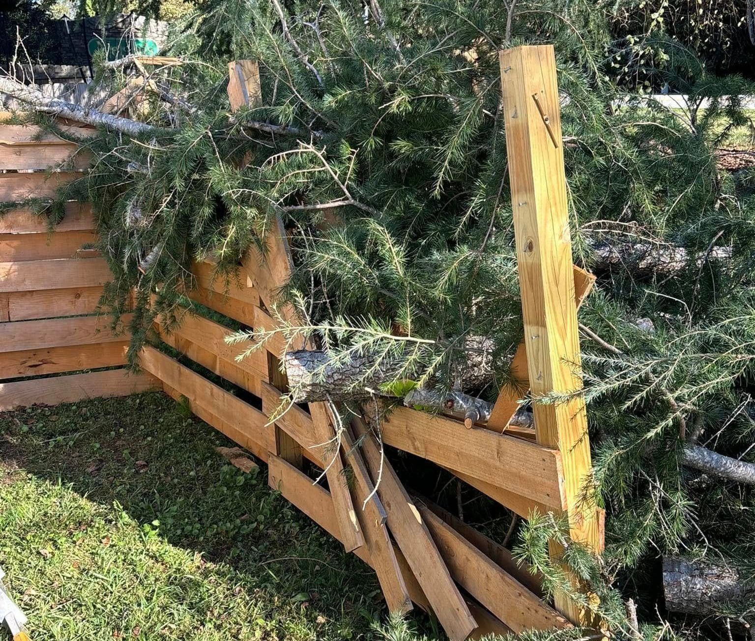 A damaged wooden fence with broken boards and green branches in a grassy yard.