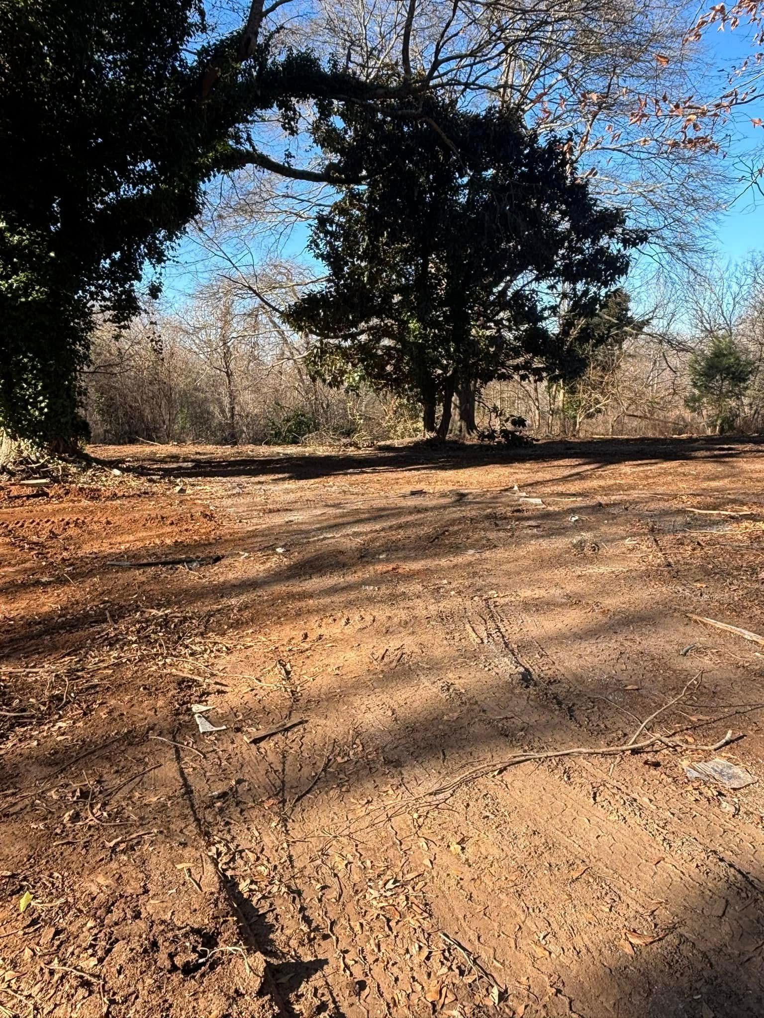 Dirt path leading into a wooded area with brown soil and dappled sunlight. 