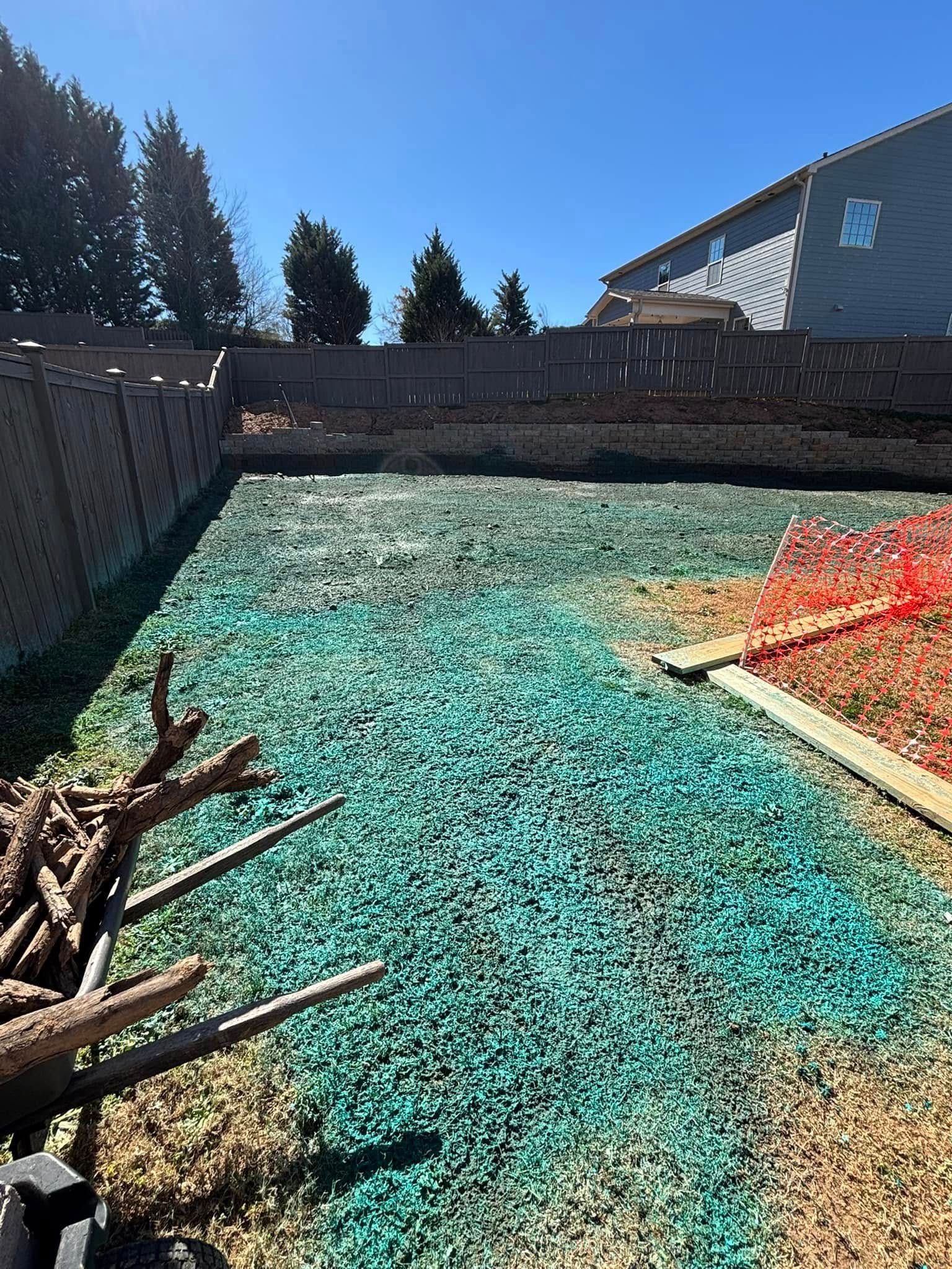 Yard with green treatment, brown fence, blue sky. There is a pile of sticks in the corner, with a wooden border on the right.