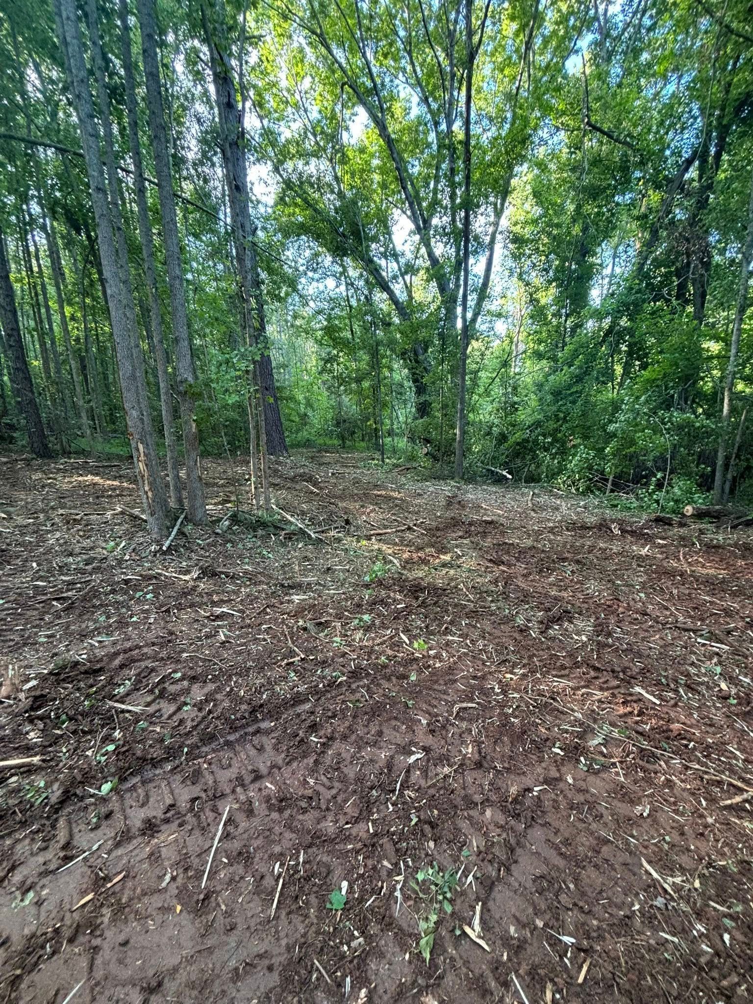 A muddy forest clearing with trees and green foliage. The ground is covered in brown debris and tire tracks.