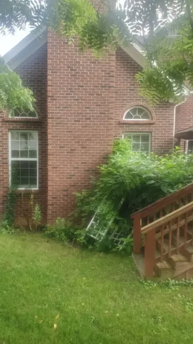 Brick house with white-trimmed windows, overgrown shrubs, and a wooden porch railing.
