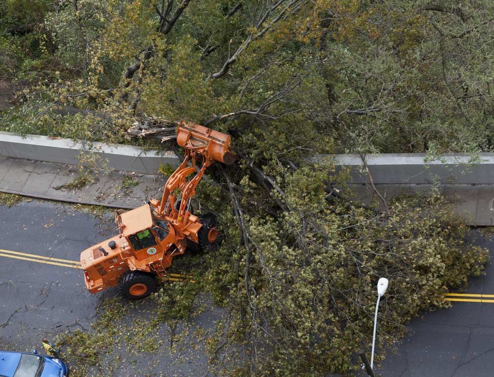 An Aerial View of a Tractor Cutting Down a Tree on the Side of a Road — A Grade Tree Services in Sandgate, QLD