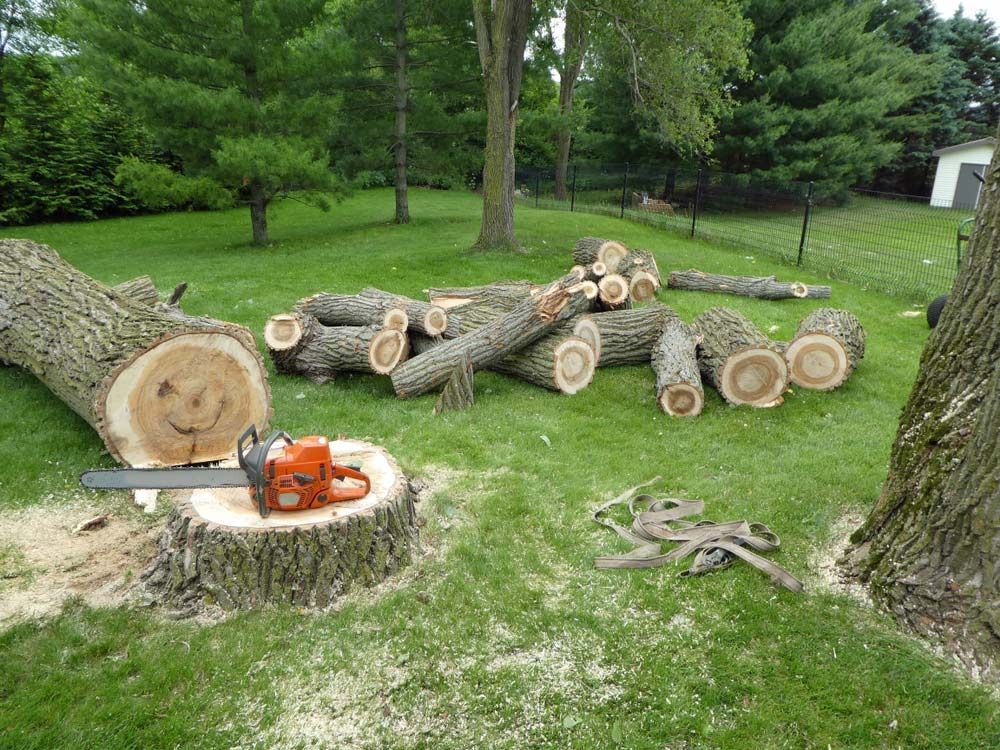 A Chainsaw is Sitting on a Tree Stump Next to a Pile of Logs — A Grade Tree Services in Brisbane, QLD