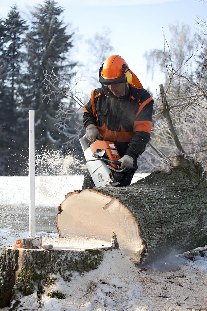A Man is Cutting a Tree Stump With a Chainsaw — A Grade Tree Services in Deception Bay, QLD