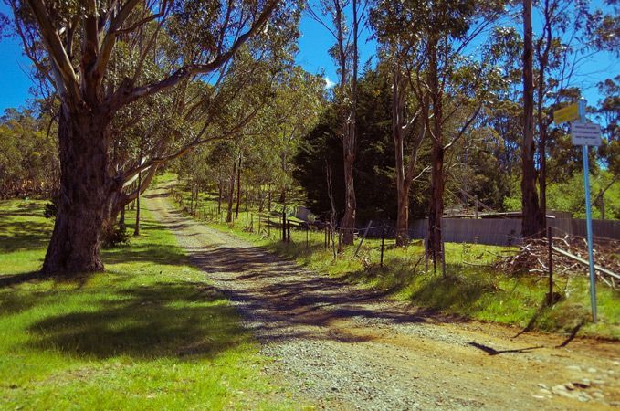 A Dirt Road Going Through a Grassy Field With Trees on Both Sides — A Grade Tree Services in Elimbah, QLD