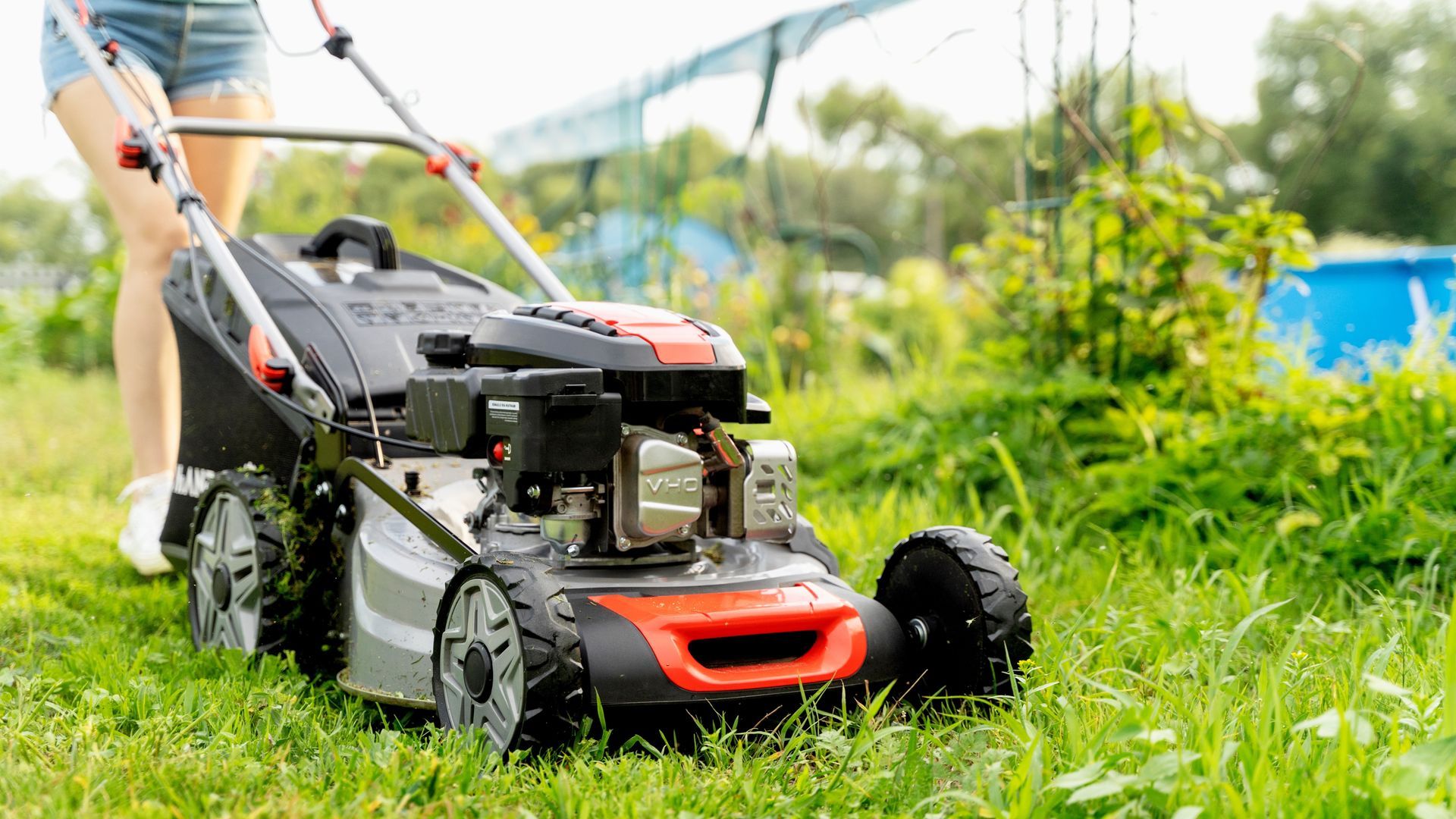 Photograph of a lawn being cut using a petrol engined, self-propelled, petrol-powered lawnmower. 
