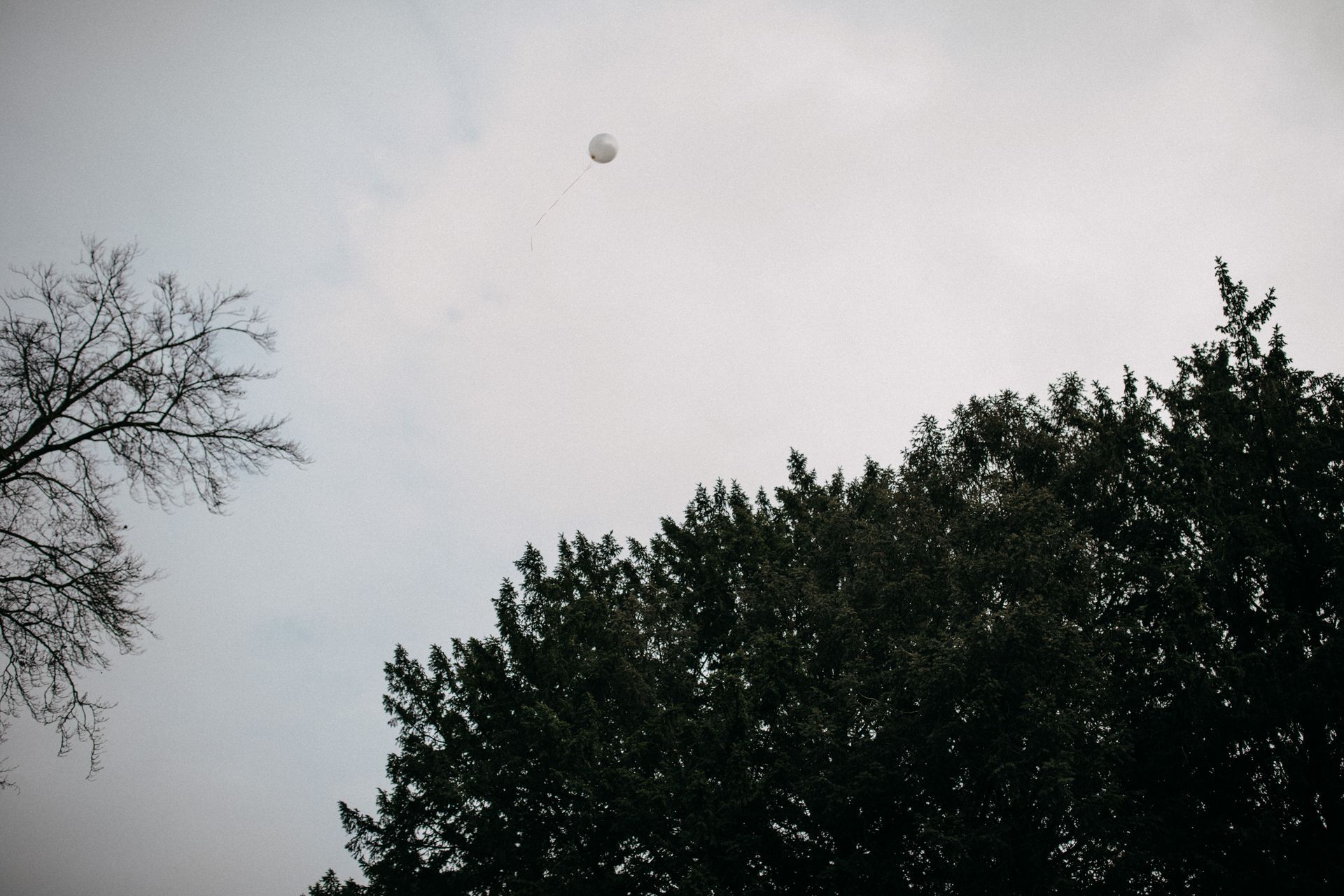 Ballon oplaten bruiloft