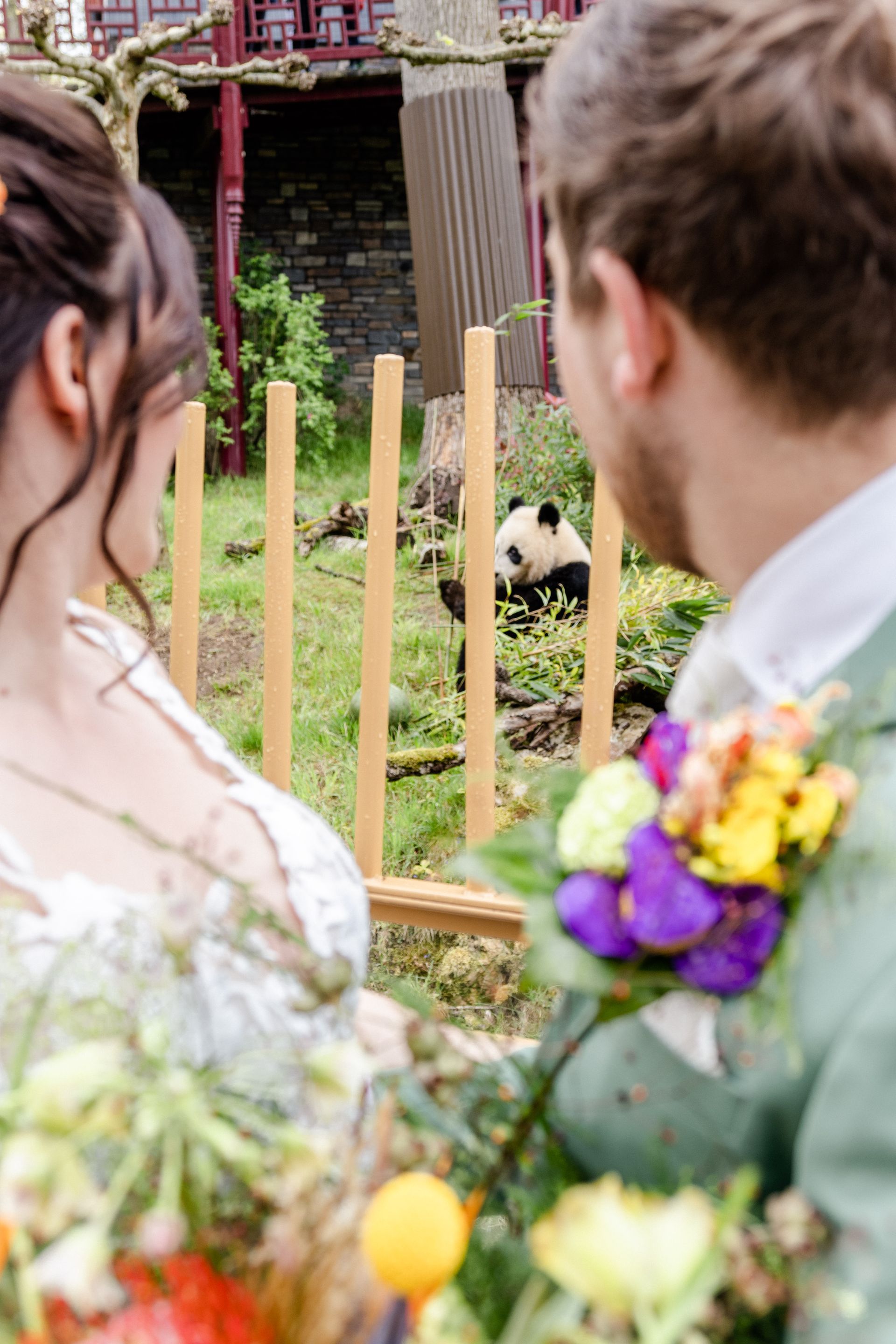 Dierentuin trouwfotoshoot