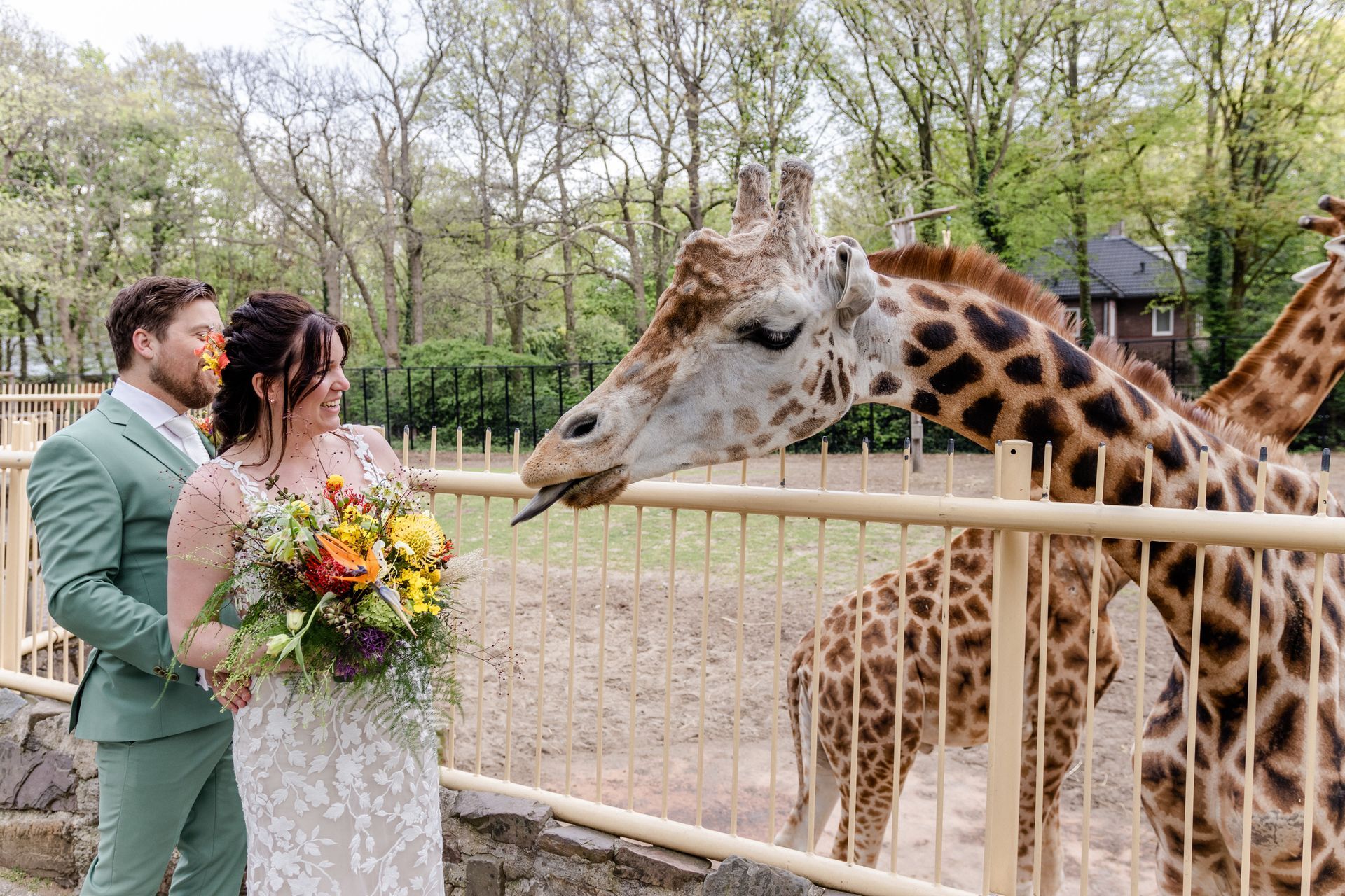Trouwfotoshoot dierentuin