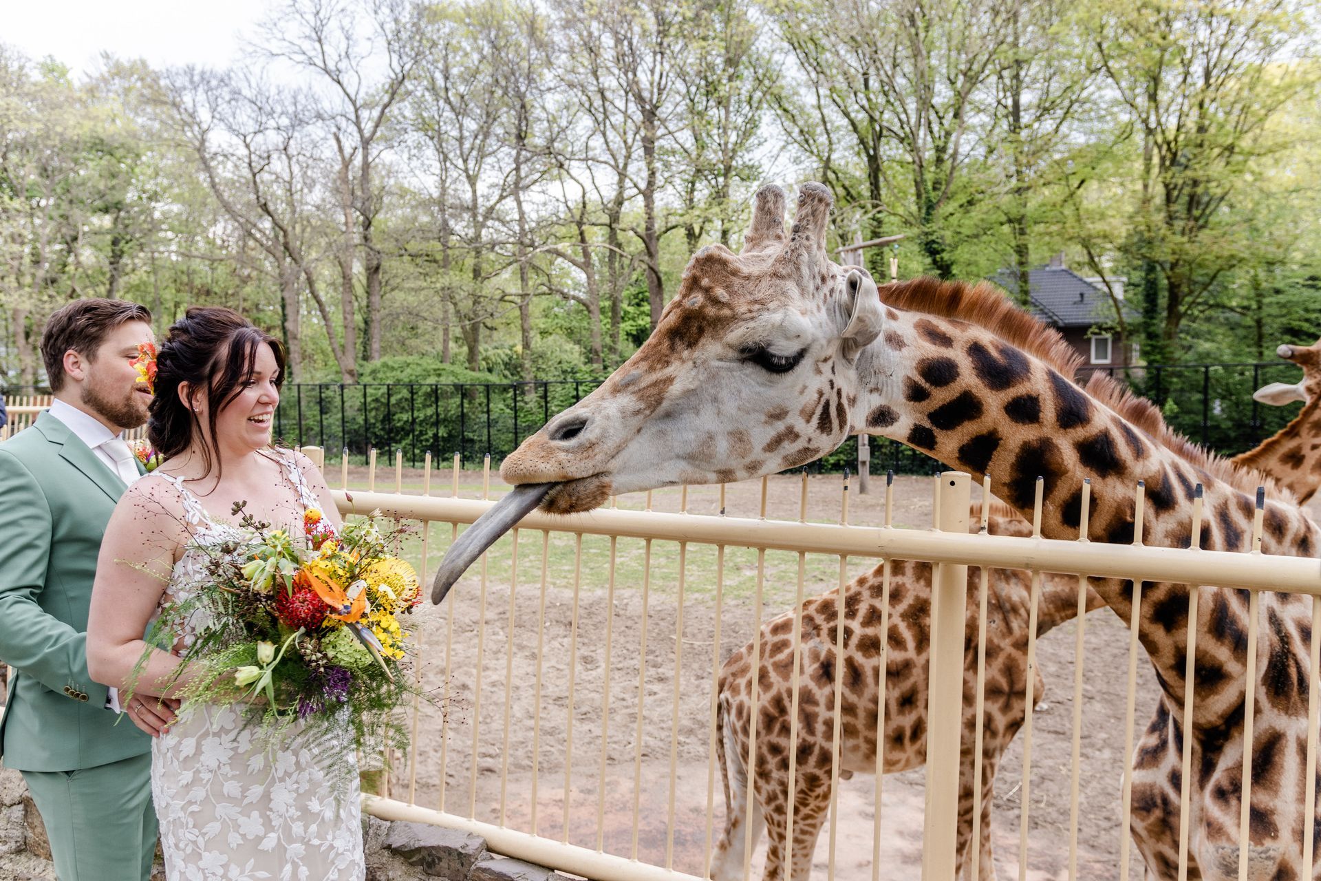 Dierentuin bruiloft