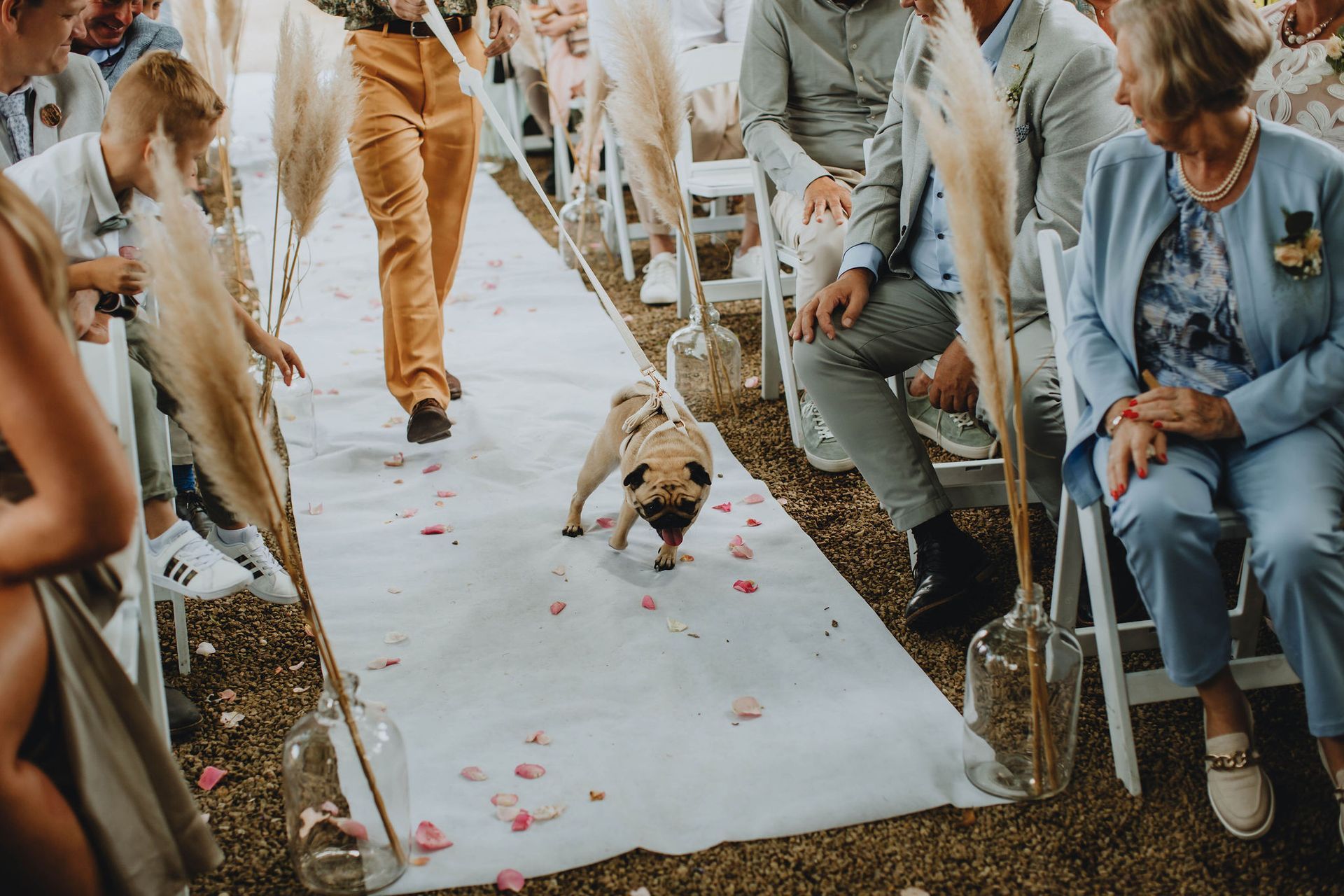Hond brengt de ringen