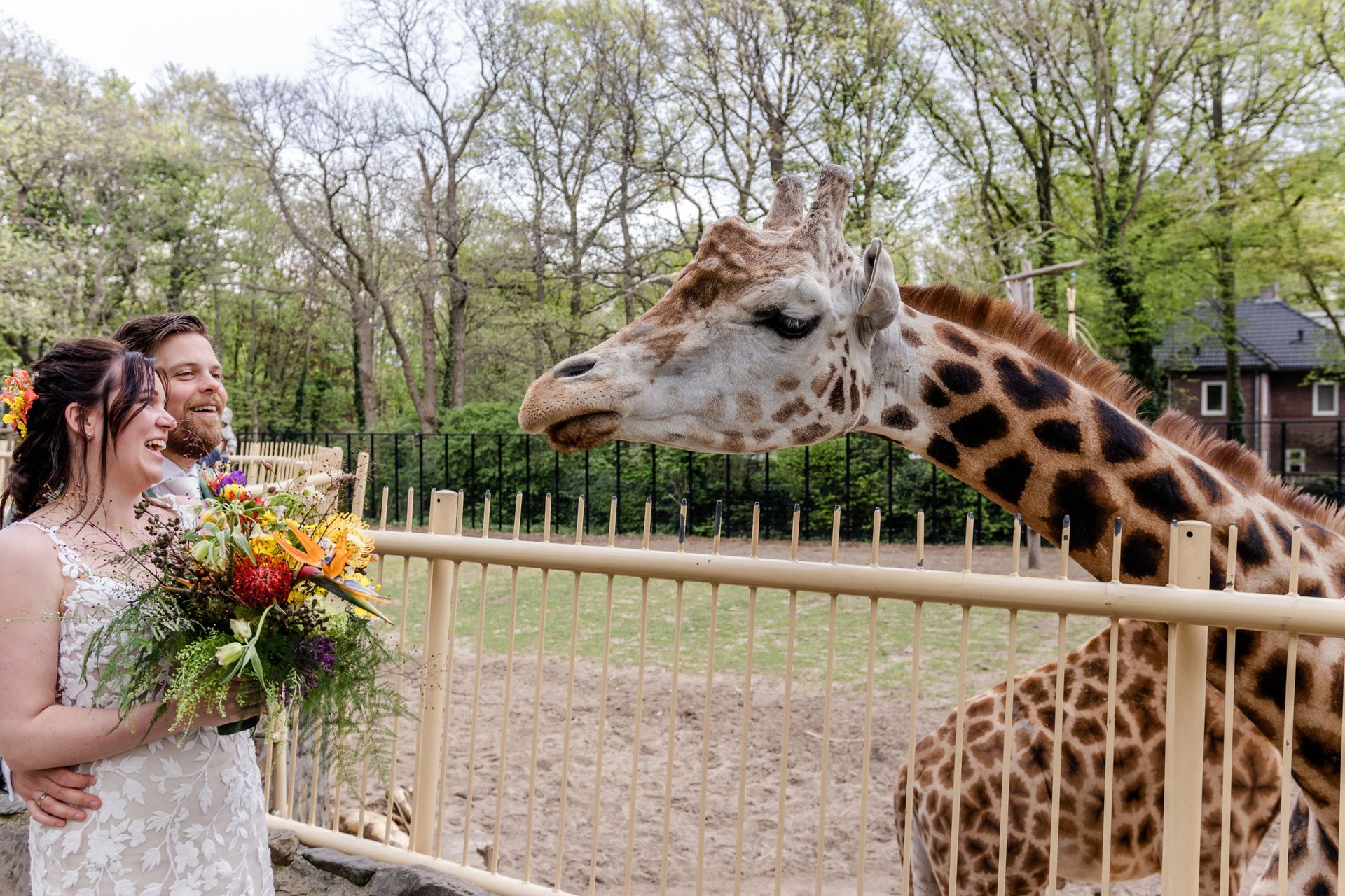 Dierentuin trouwfotoshoot