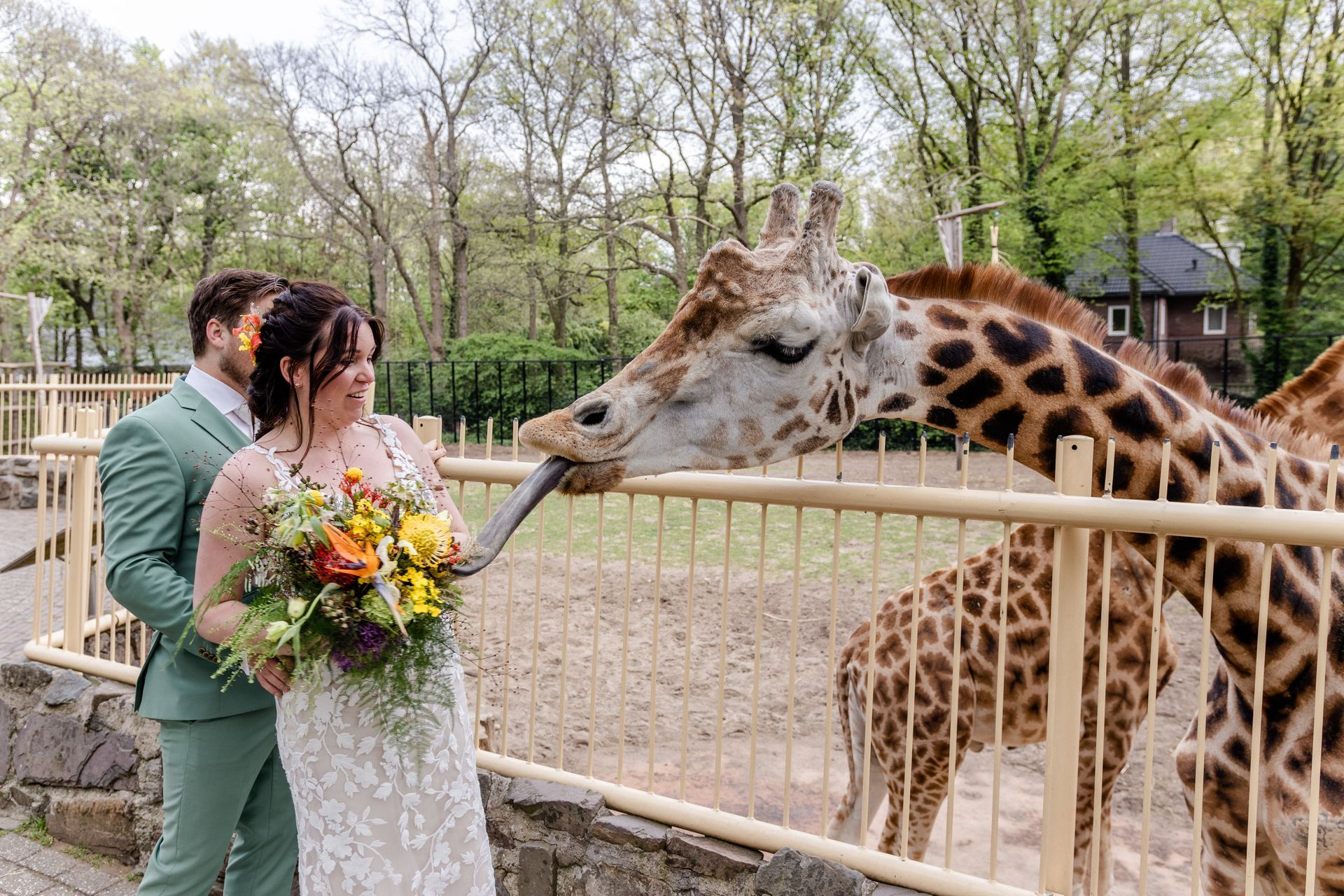 Trouwfotoshoot dierentuin