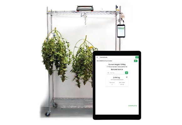 StashStock's CannaScale home page image - METRC integrated cannabis harvest compliance solution