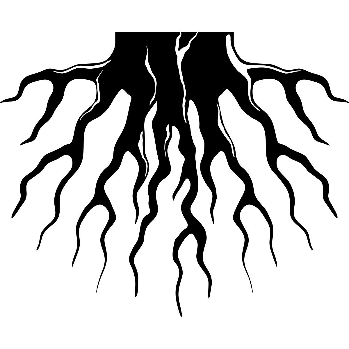 Black silhouette of tree roots spreading downwards.