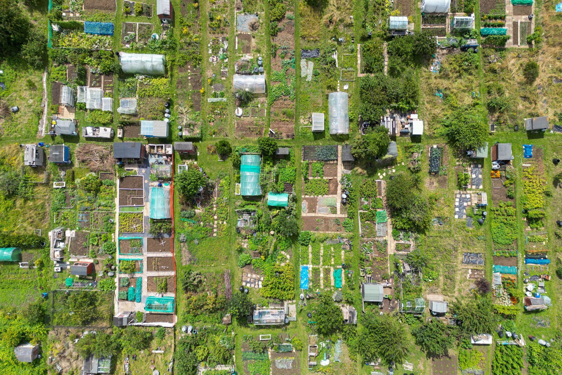 Aerial view of a dense garden community with small houses, green plants, and scattered colorful rooftops