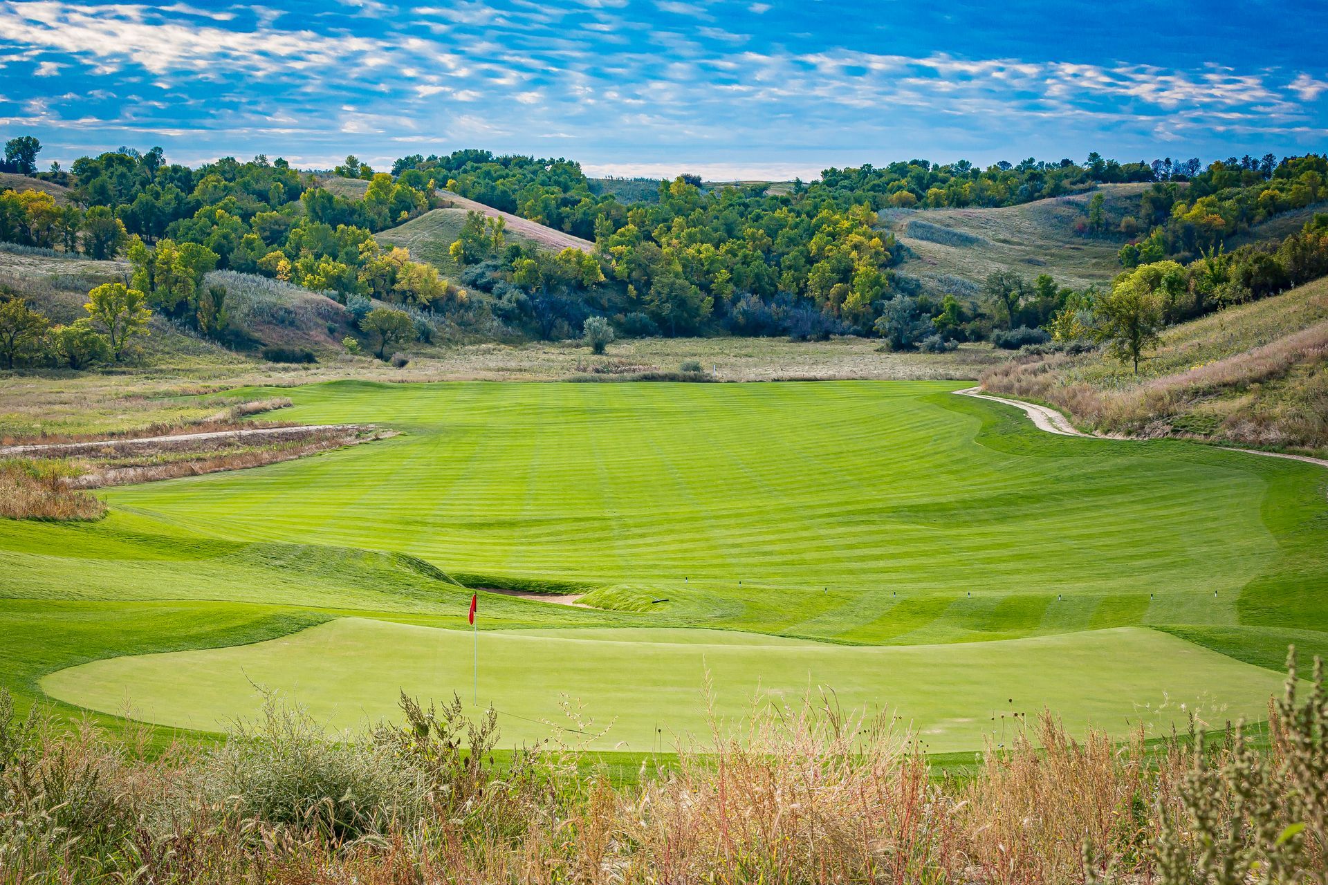 There is a golf course in the middle of a field with trees in the background.